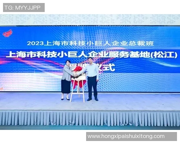 飞盘巨献：探秘杭州飞盘队的技术